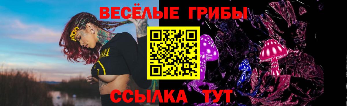Галлюциногенные грибы Psilocybe  Вход с VPN  Псилоцибиновые грибы Psilocybe  Иваново 